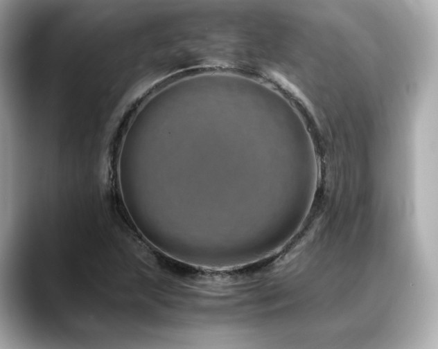X0000088701215200705311209