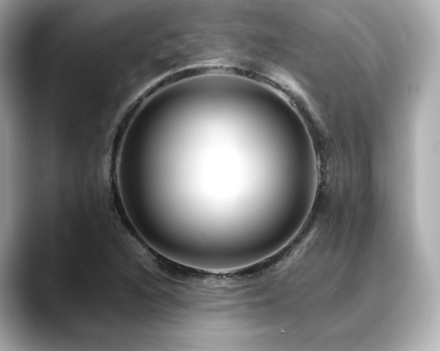 X0000088701216200705311209