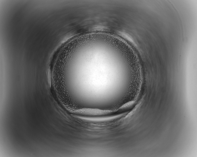 X0000088701219200705311209