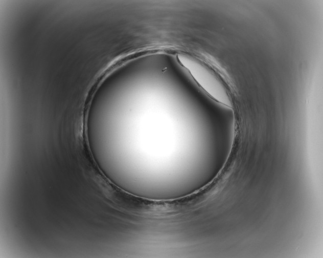 X0000088701220200705311209