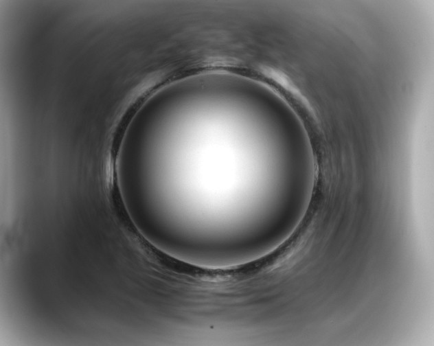 X0000088701221200705311209