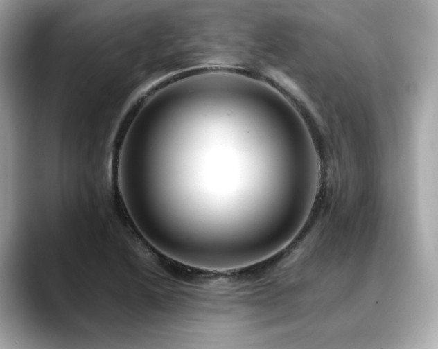 X0000088701222200705311209