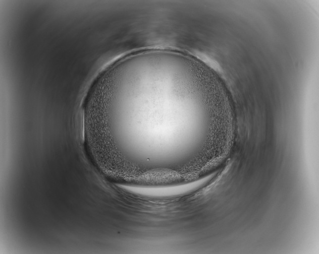 X0000088701223200705311209