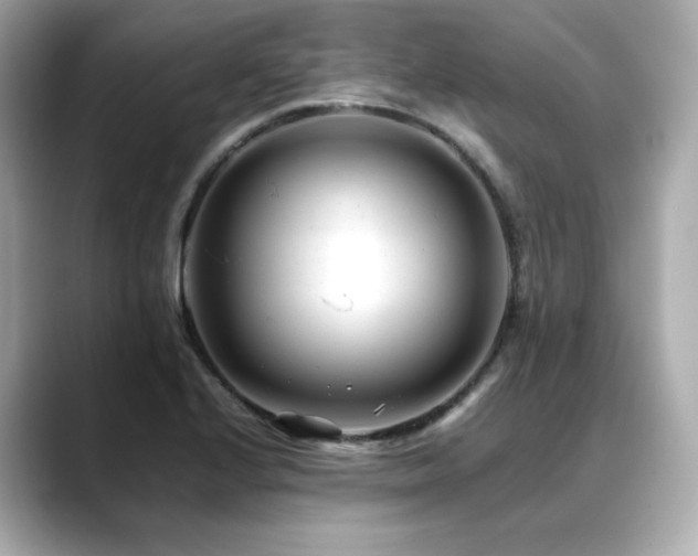 X0000088701224200705311209