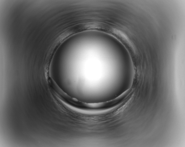 X0000088701225200705311209
