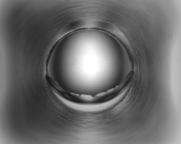 X0000088701226200705311209