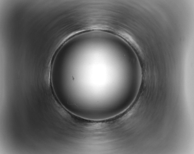 X0000088701228200705311209