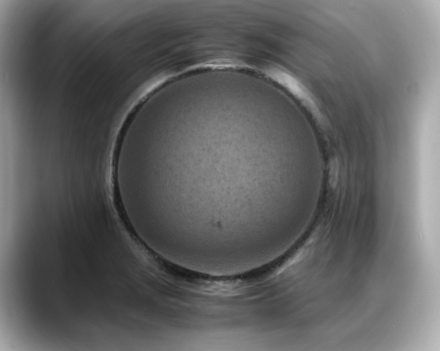 X0000088701229200705311209