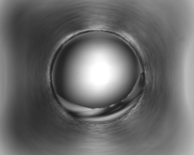X0000088701230200705311209