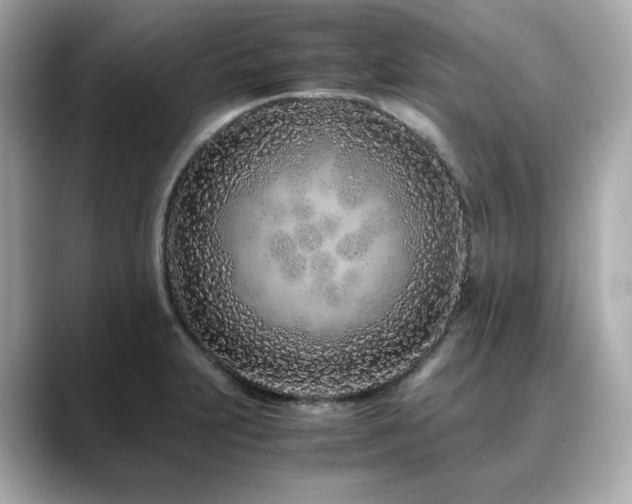 X0000088701231200705311209