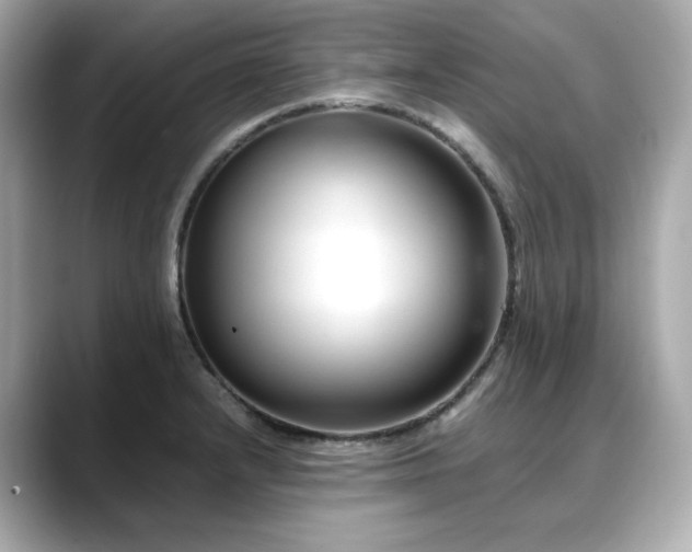 X0000088701232200705311209
