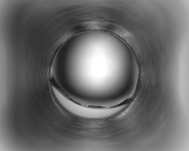 X0000088701233200705311209