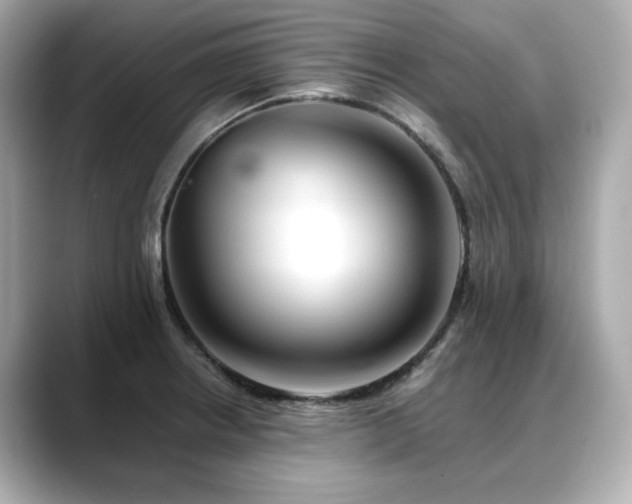 X0000088701234200705311209