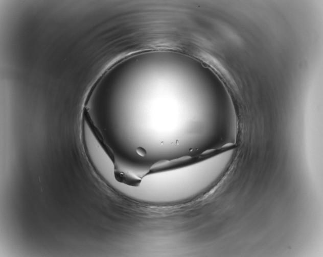X0000088701236200705311209