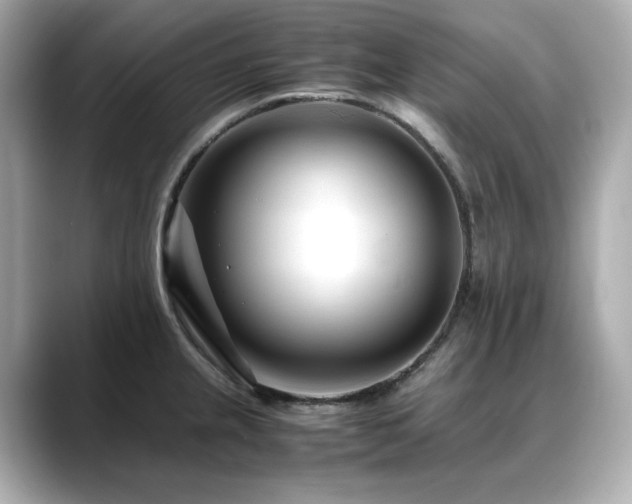 X0000088701237200705311209