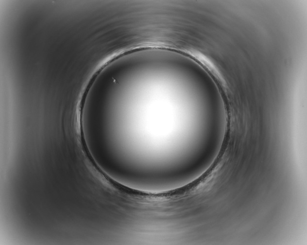 X0000088701238200705311209