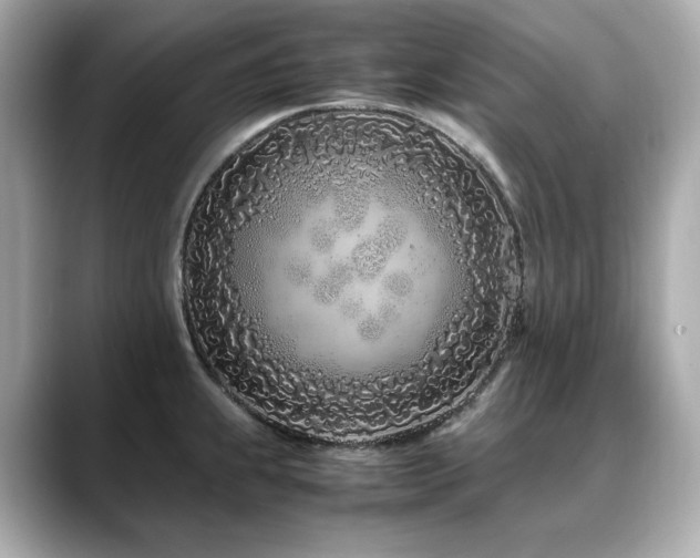 X0000088701239200705311209