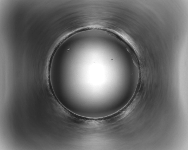 X0000088701240200705311209