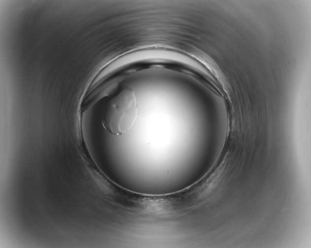 X0000088701242200705311209