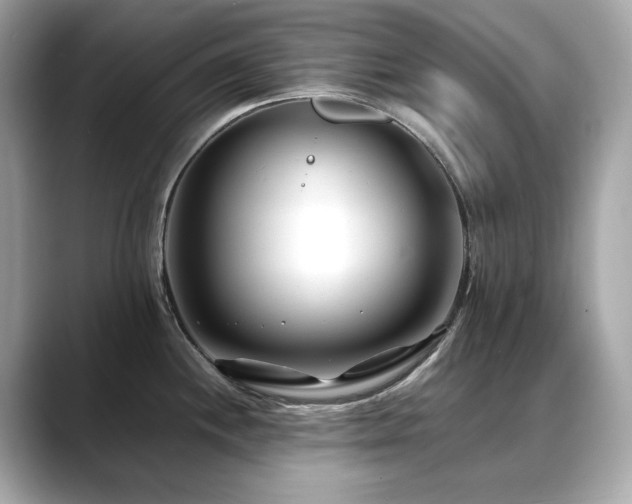 X0000088701244200705311209