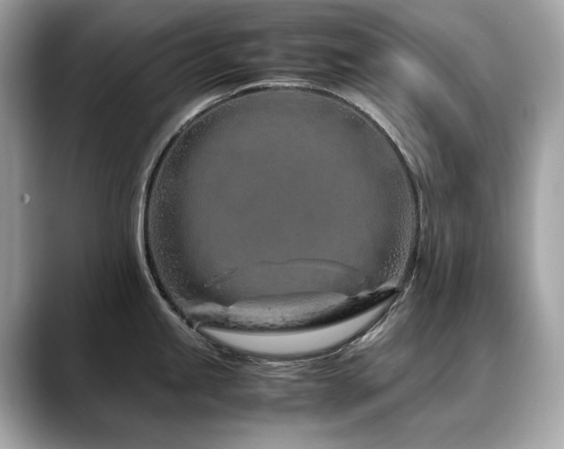 X0000088701245200705311209