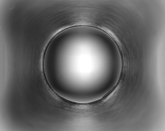 X0000088701246200705311209