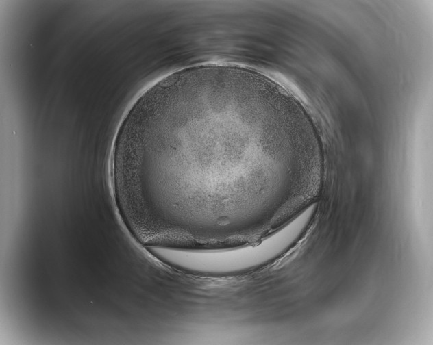 X0000088701247200705311209
