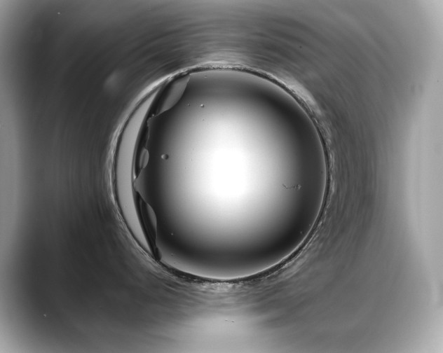X0000088701248200705311209