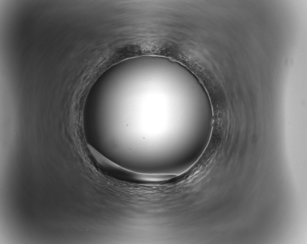 X0000088701249200705311208