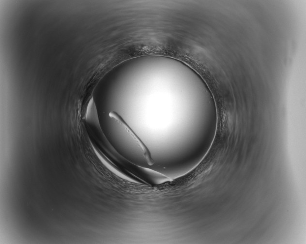 X0000088701250200705311208