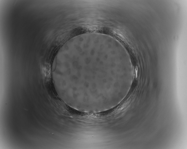 X0000088701251200705311208