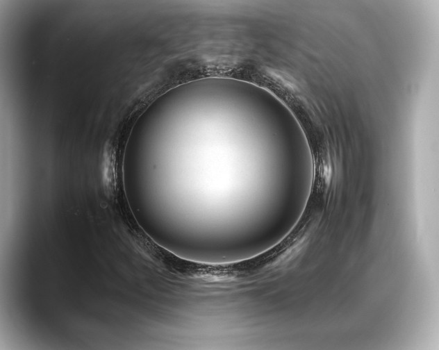 X0000088701252200705311208