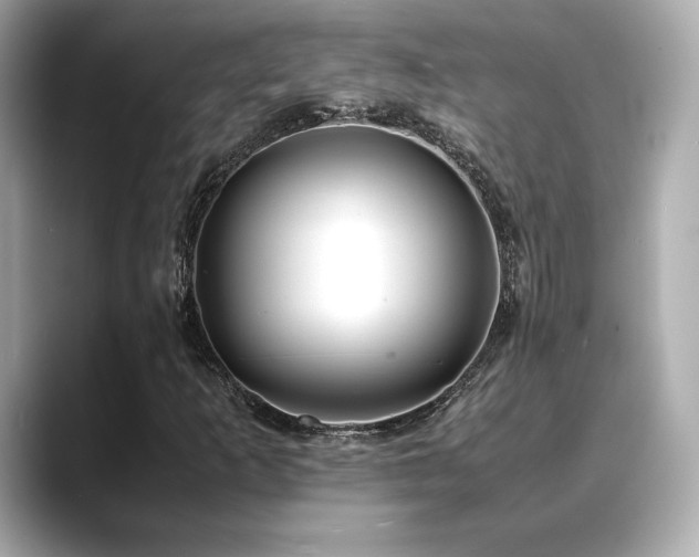 X0000088701253200705311208