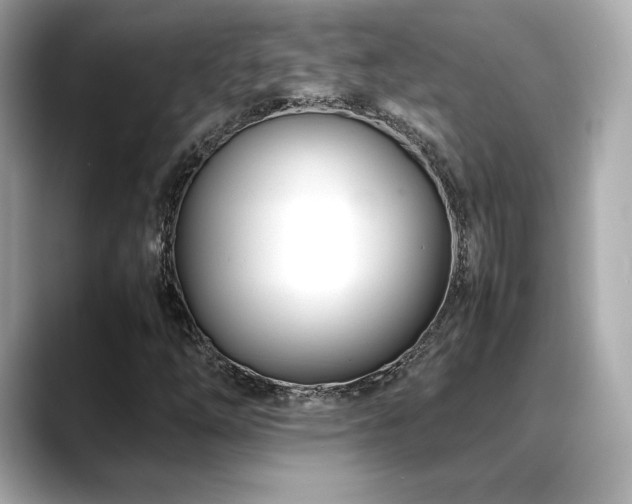X0000088701254200705311208