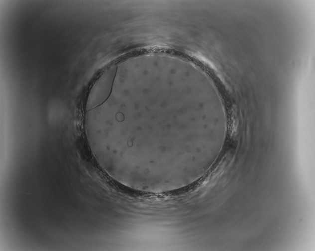 X0000088701255200705311208