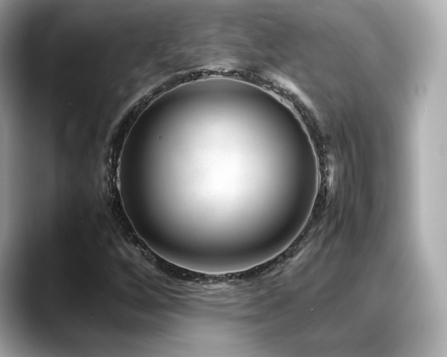 X0000088701256200705311208