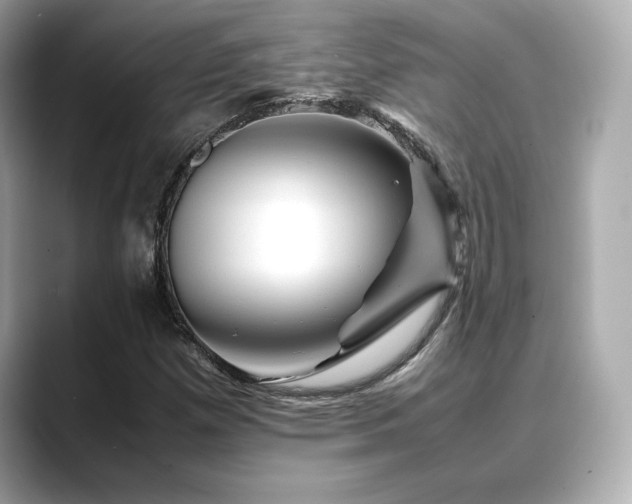 X0000088701257200705311208