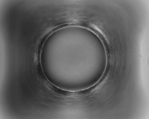 X0000088701259200705311208