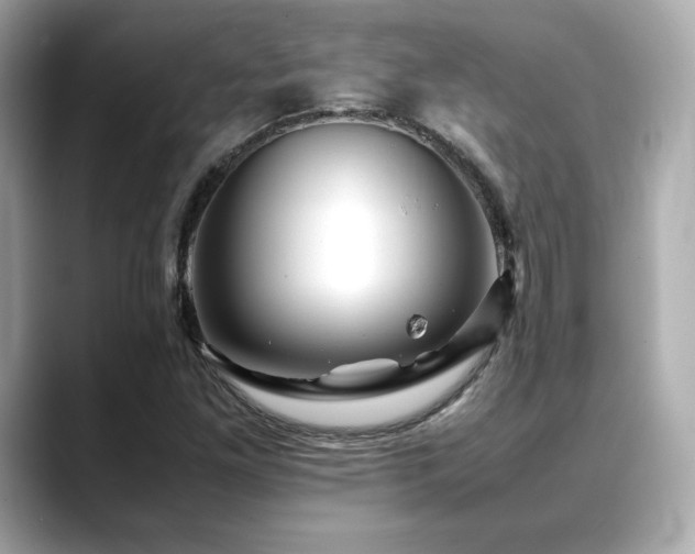X0000088701261200705311208
