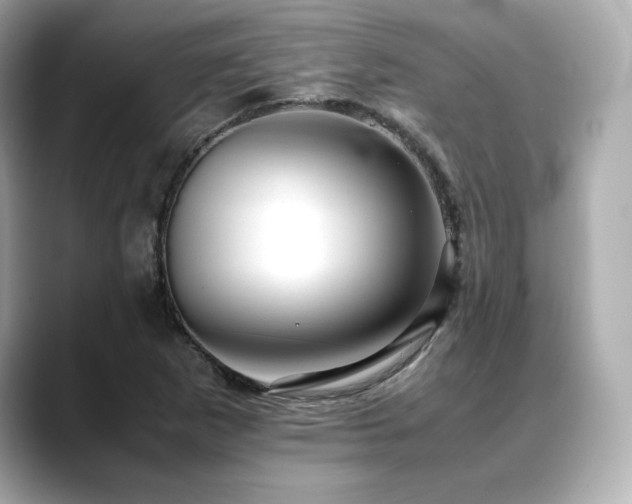 X0000088701265200705311208