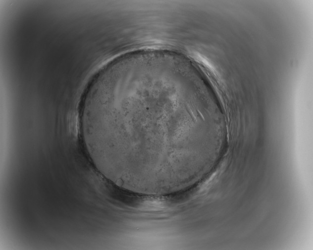 X0000088701267200705311208