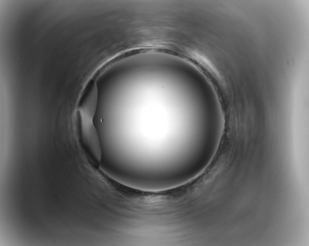 X0000088701268200705311208