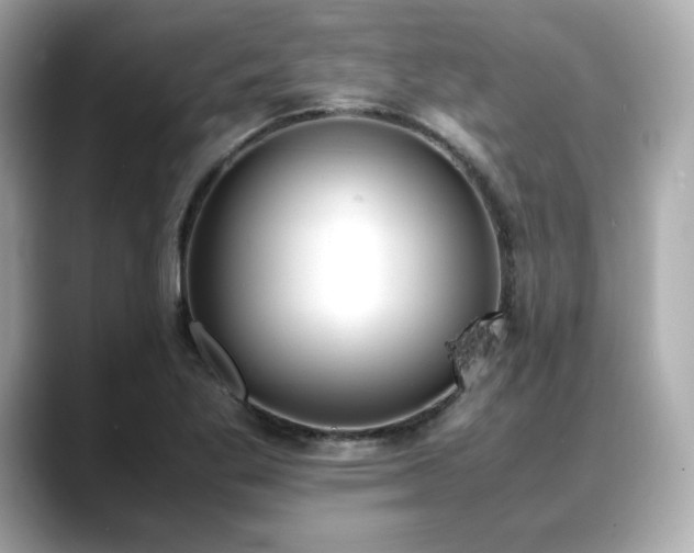 X0000088701269200705311208