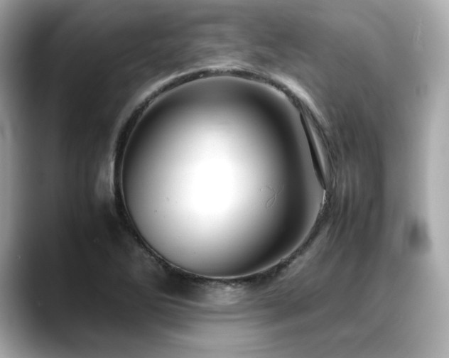 X0000088701270200705311208