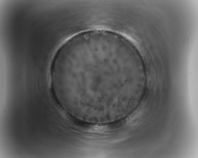 X0000088701271200705311208