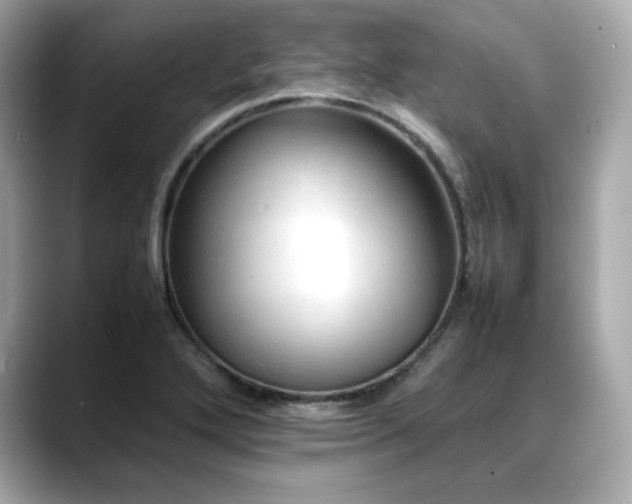 X0000088701272200705311208