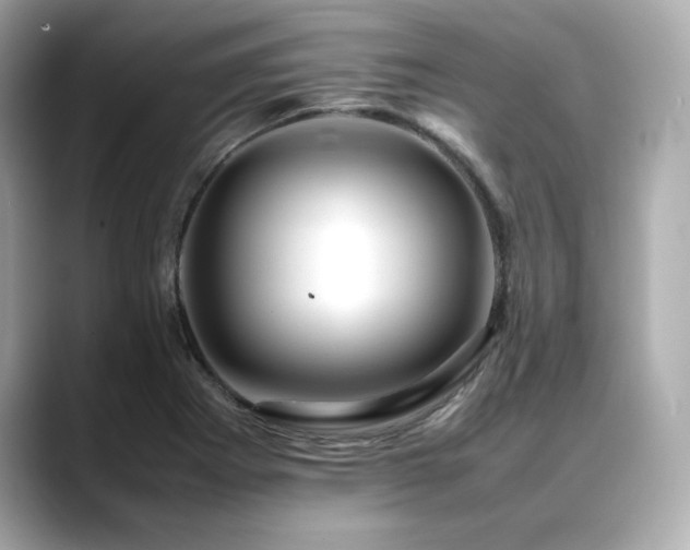 X0000088701273200705311208