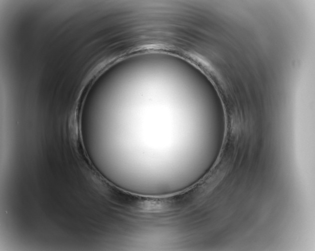 X0000088701274200705311208