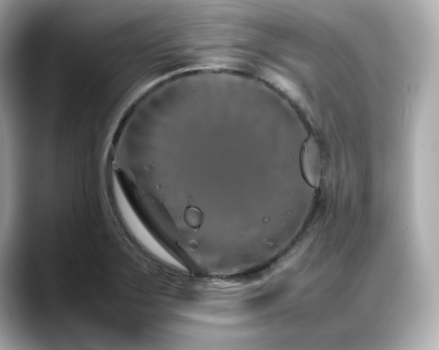 X0000088701275200705311208