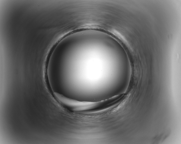 X0000088701277200705311208